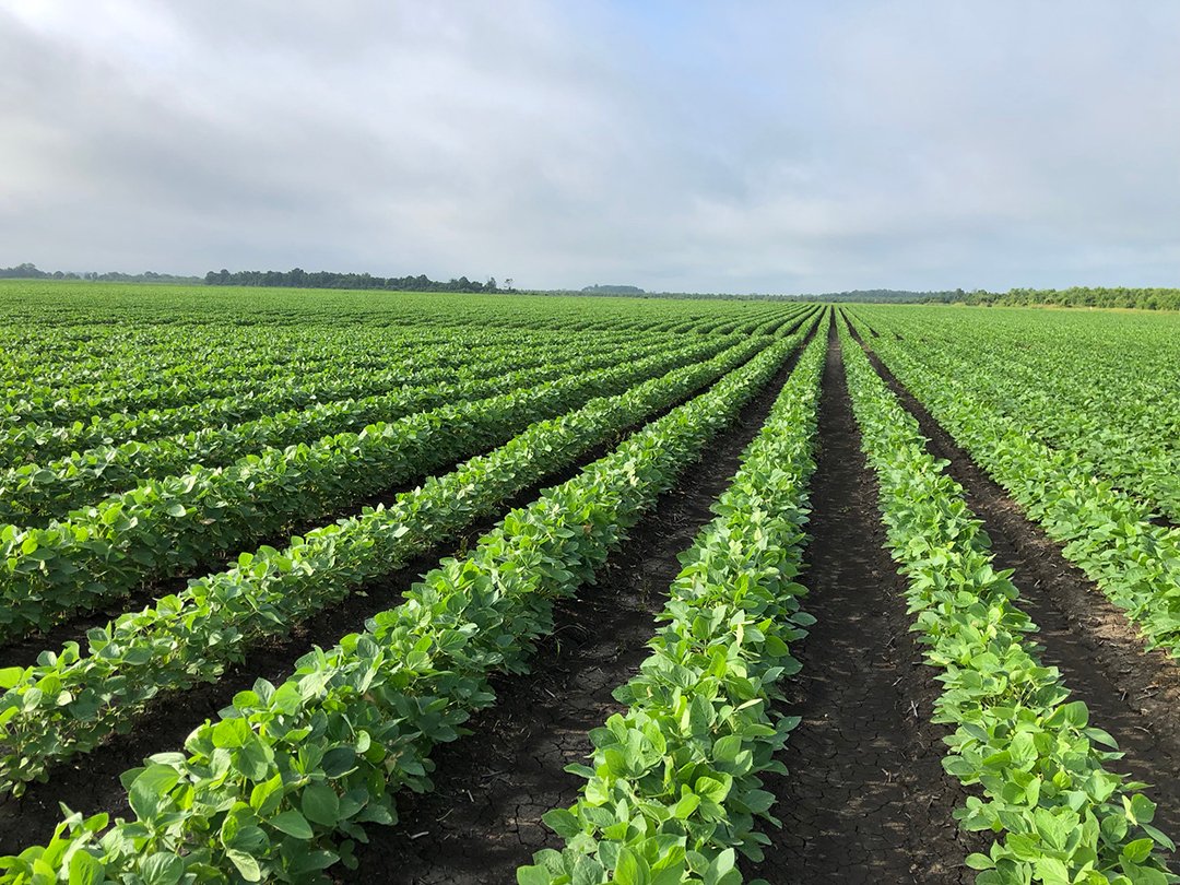 Farmland Appraisal — AGfarms Insight